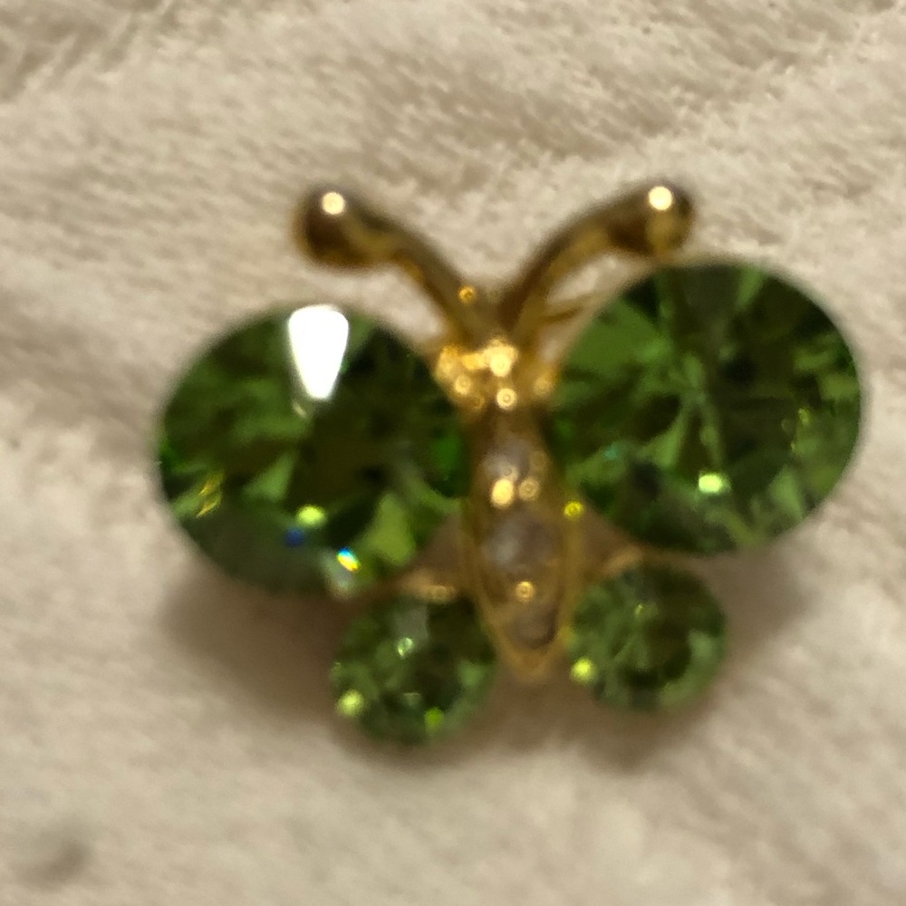Green butterfly brooch.
